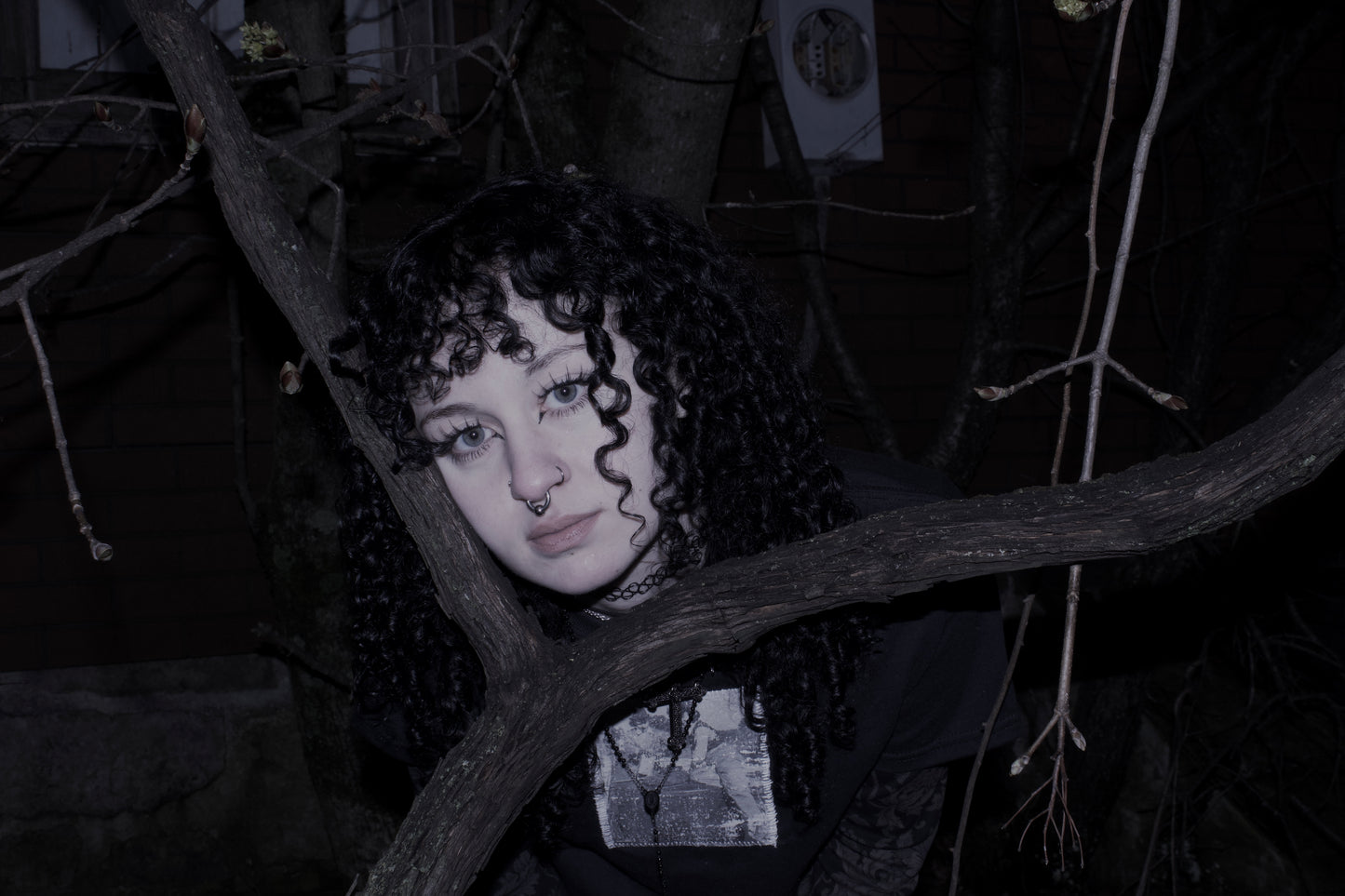 šš«š¦š² ššØš¦šš§ šš«šØš© ššØš©