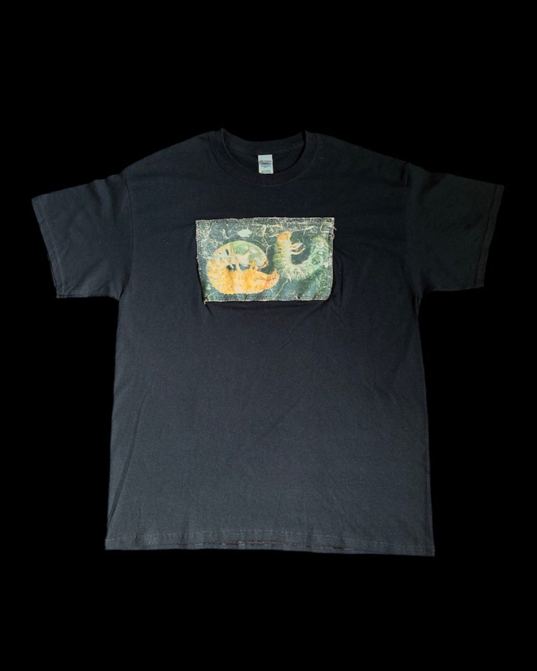 ššššš«š©š¢š„š„šš« ššššš” ššš